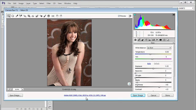 adobe photoshop update camera raw for mac